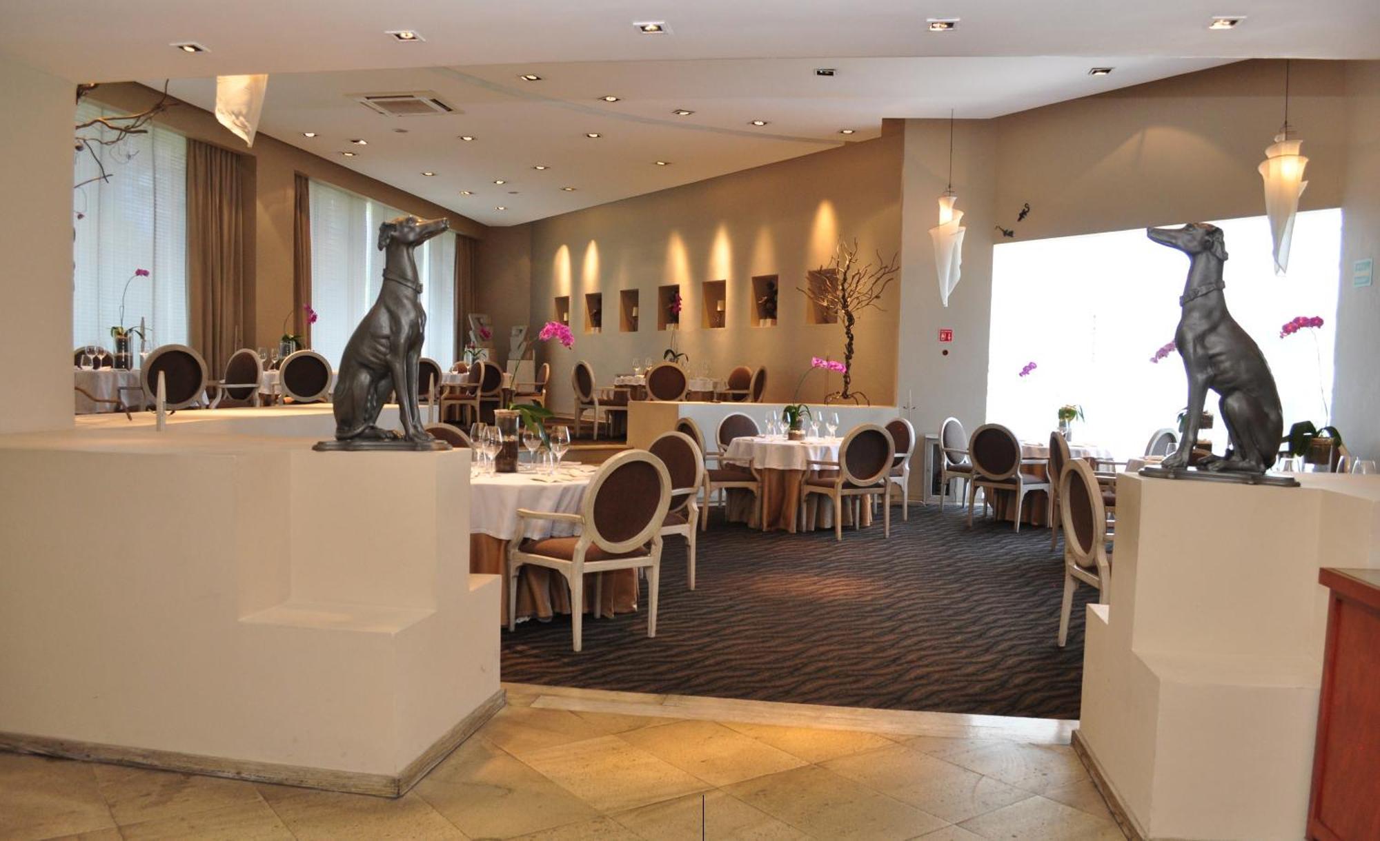 Royal Pedregal — Photos 1