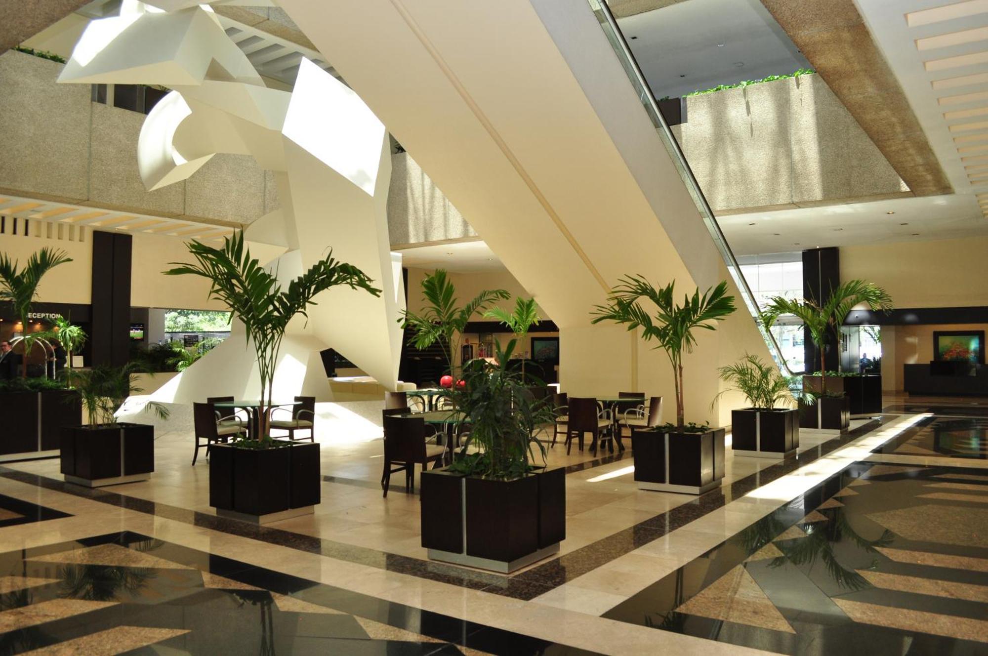 Royal Pedregal — Photos 2